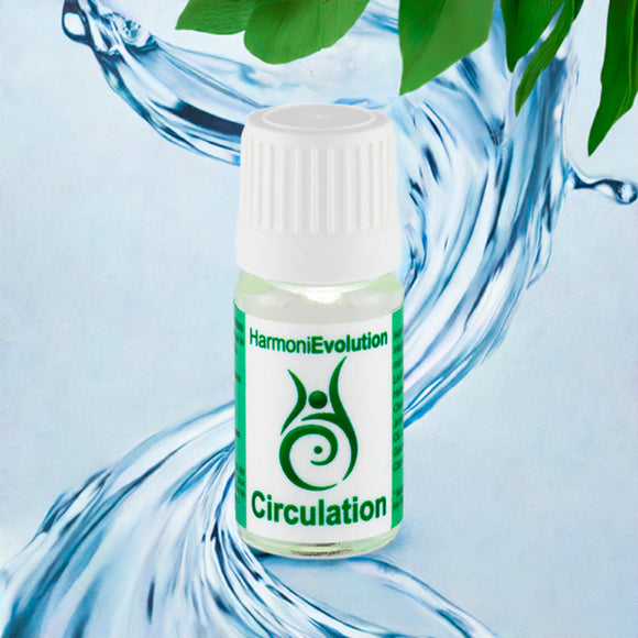 Huile Circulation